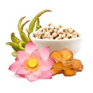 mycoclean  mycomedica - tradicna cinska medicina podpora sleziny detox huba maitake lotos slzovka