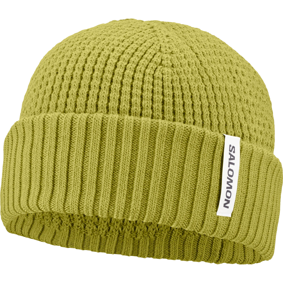 Zimná čiapka SALOMON DOCKER BEANIE U CARDAMON SEED