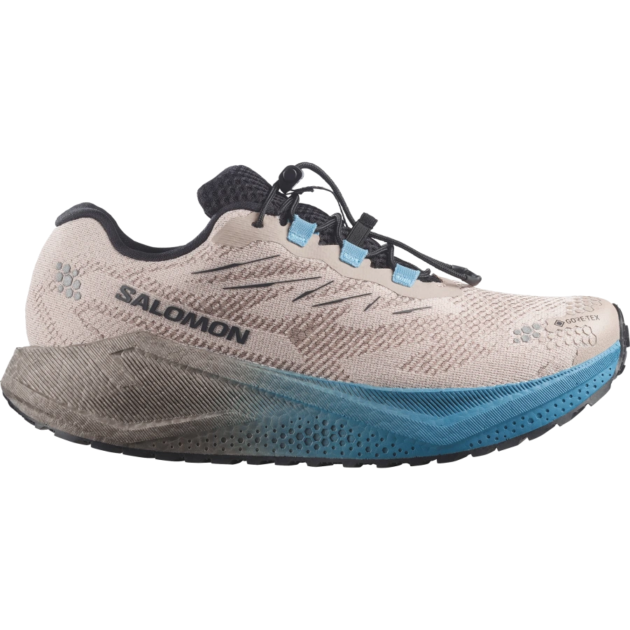 Pánska bežecká obuv Salomon AERO BLAZE 4 GRVL GTX