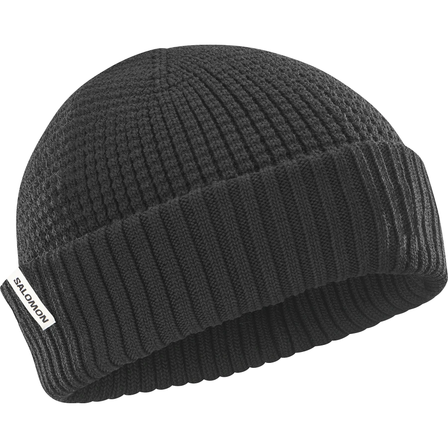Zimná čiapka SALOMON DOCKER BEANIE U