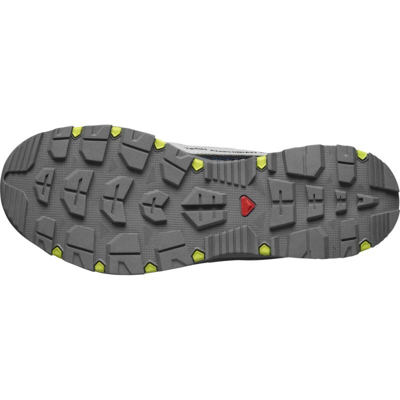 Pánska outdoorová obuv Salomon TECHAMPHIBIAN 5 Prlblu / Lapis / Yellow