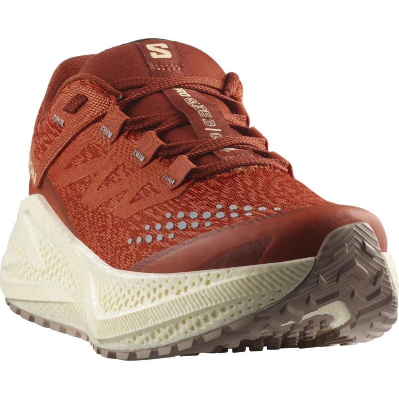 Dámska univerzálna bežecká obuv Salomon AERO GLIDE 3 GRVL W Burnt Ochre / Van 2