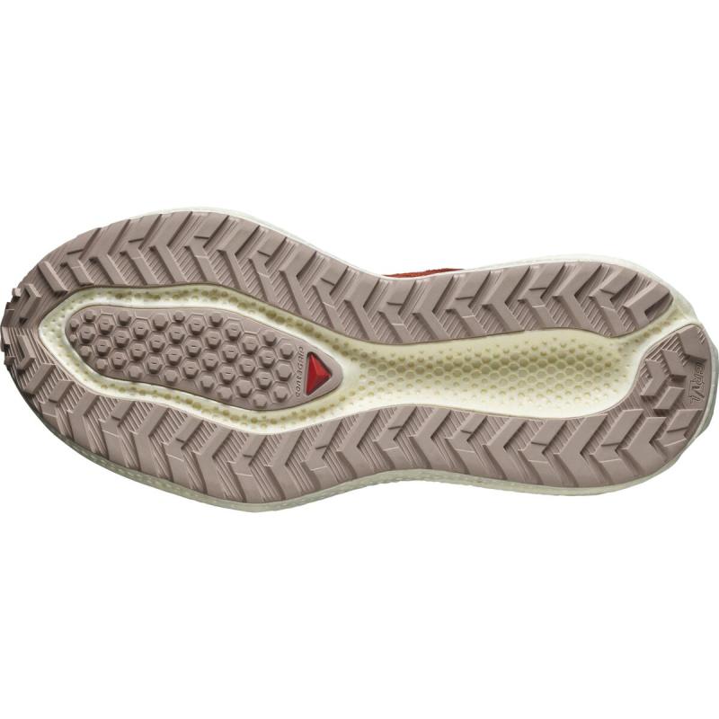 Dámska univerzálna bežecká obuv Salomon AERO GLIDE 3 GRVL W Burnt Ochre / Van 4