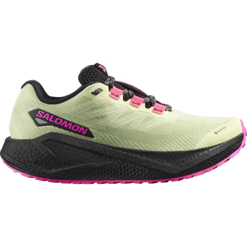 Dámska cestná bežecká obuv Salomon AERO BLAZE 3 GRVL GTX W Butterfly/Black