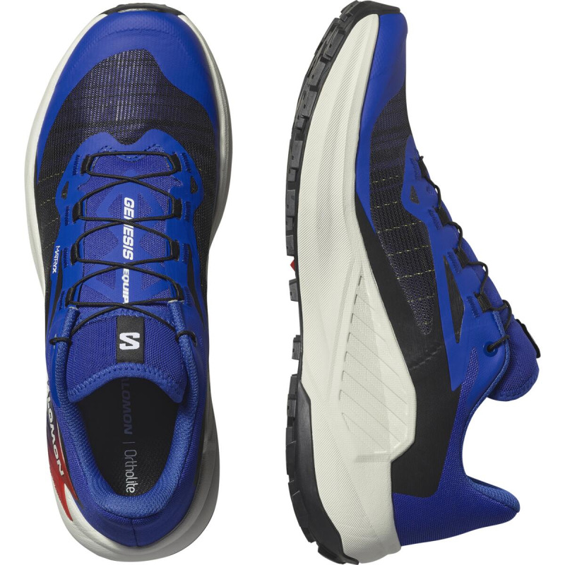 Pánska bežecká obuv Salomon GENESIS EQUIPE Surf W/Fird/Wht 5