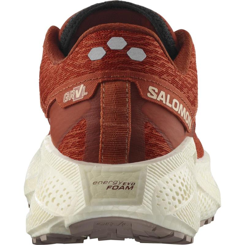 Dámska univerzálna bežecká obuv Salomon AERO GLIDE 3 GRVL W Burnt Ochre / Van 3