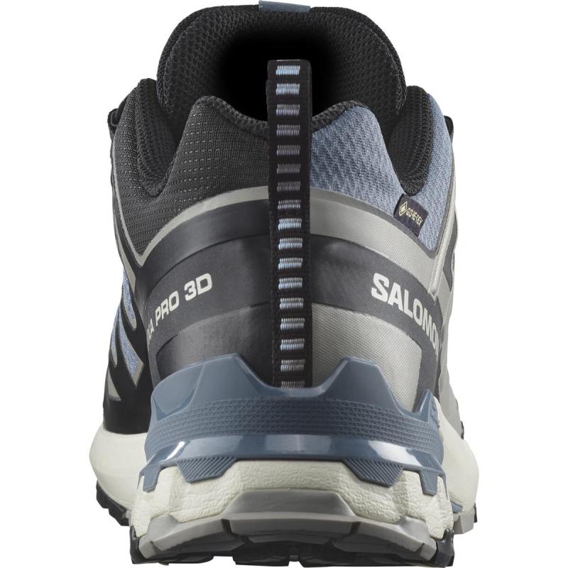 Pánska trailová obuv Salomon XA PRO 3D V9 GTX Flint/Black/Ghost