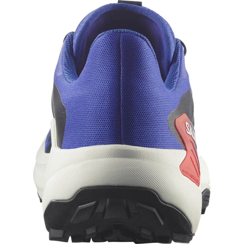 Pánska bežecká obuv Salomon GENESIS EQUIPE Surf W/Fird/Wht 2