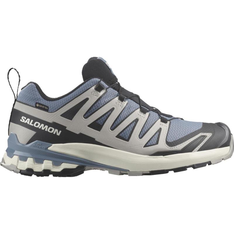 Pánska trailová obuv Salomon XA PRO 3D V9 GTX Flint/Black/Ghost