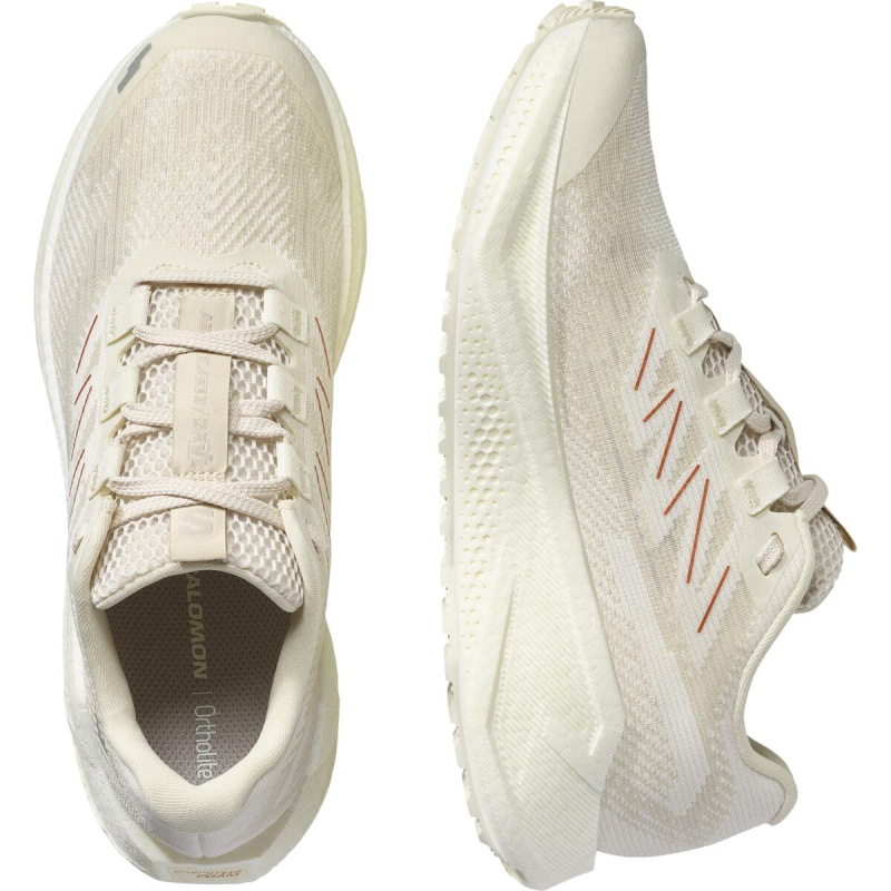 Dámska cestná bežecká obuv Salomon AERO BLAZE 3 GRVL W Vanilla Ice/Vanilla Ice 4