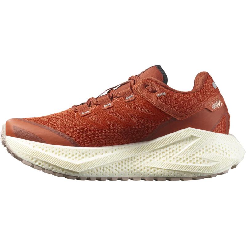 Dámska univerzálna bežecká obuv Salomon AERO GLIDE 3 GRVL W Burnt Ochre / Van 1