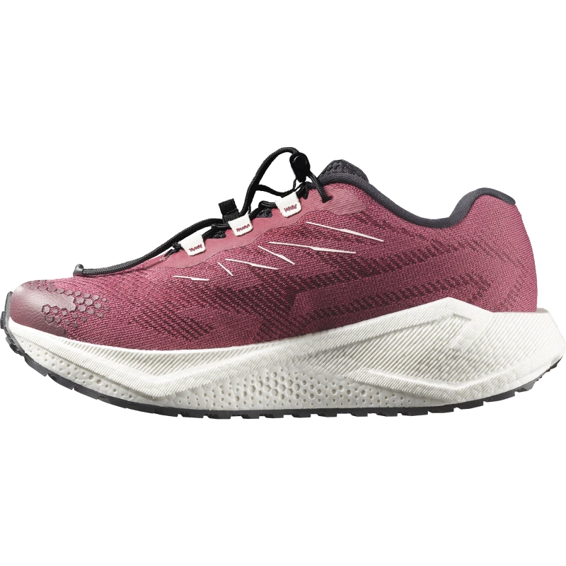 Dámska bežecká obuv Salomon AERO BLAZE 4 GRVL W Nocturne / Vanilla Ice 1