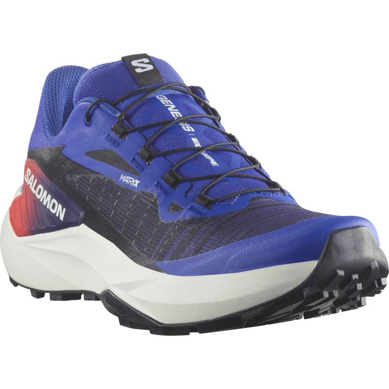 Pánska bežecká obuv Salomon GENESIS EQUIPE Surf W/Fird/Wht 1