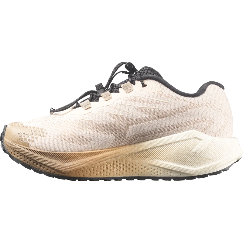 Dámska bežecká obuv Salomon AERO BLAZE 4 GRVL W Tapioca / Vanilla Ice 4