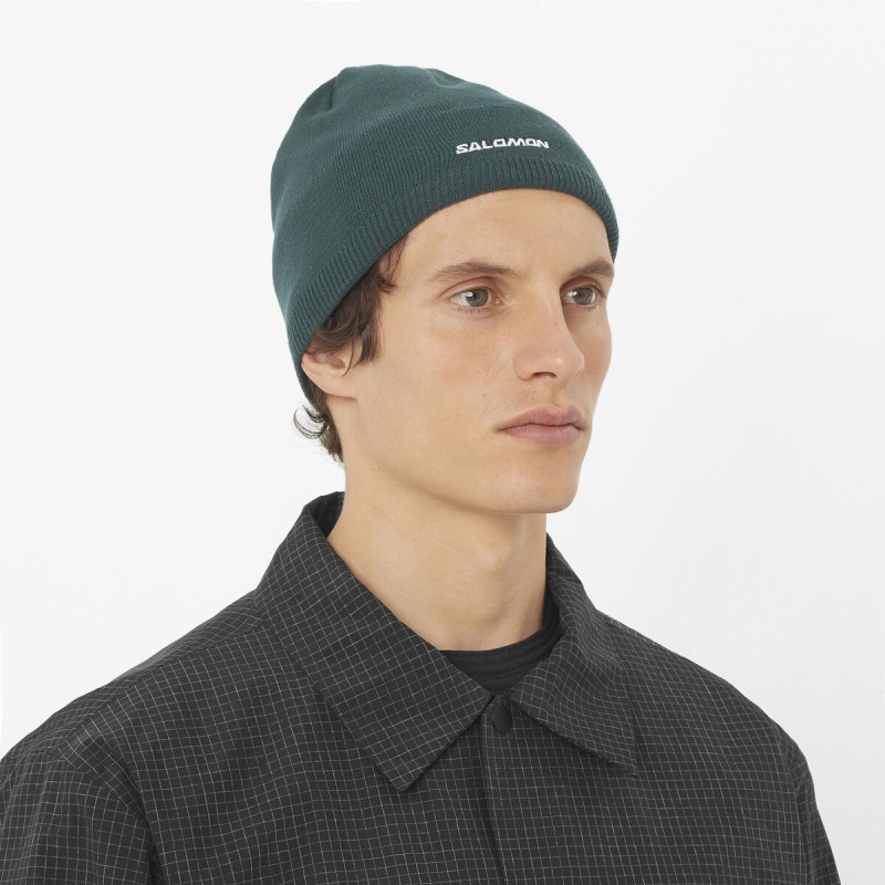Čiapka Salomon BEANIE GREEN GABLES 1