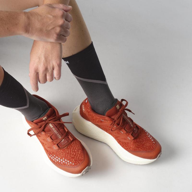 Dámska univerzálna bežecká obuv Salomon AERO GLIDE 3 GRVL W Burnt Ochre / Van 6