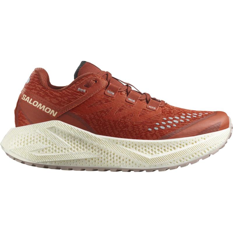 Dámska univerzálna bežecká obuv Salomon AERO GLIDE 3 GRVL W Burnt Ochre / Van