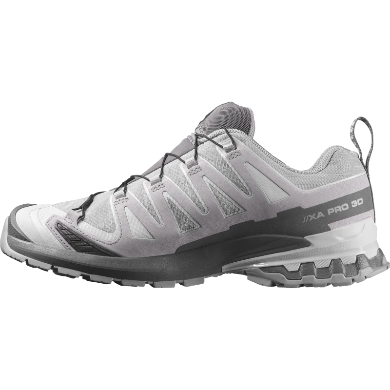 Pánska trailová obuv Salomon XA PRO 3D V9 GTX Alloy / Castlerock 3