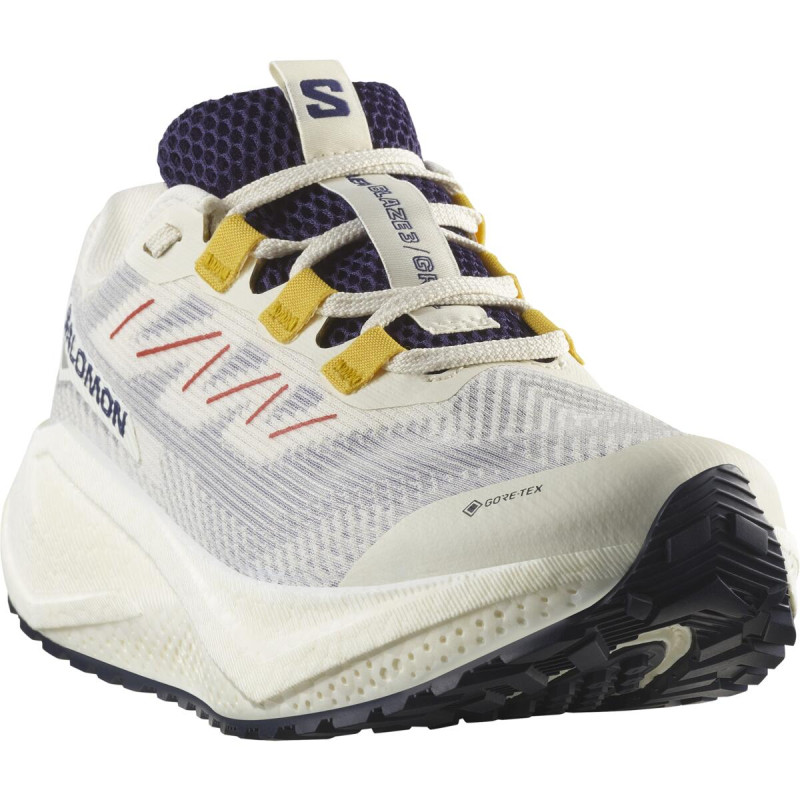 Pánska cestná bežecká obuv Salomon AERO BLAZE 3 GRVL GTX Vanila / Astral 1