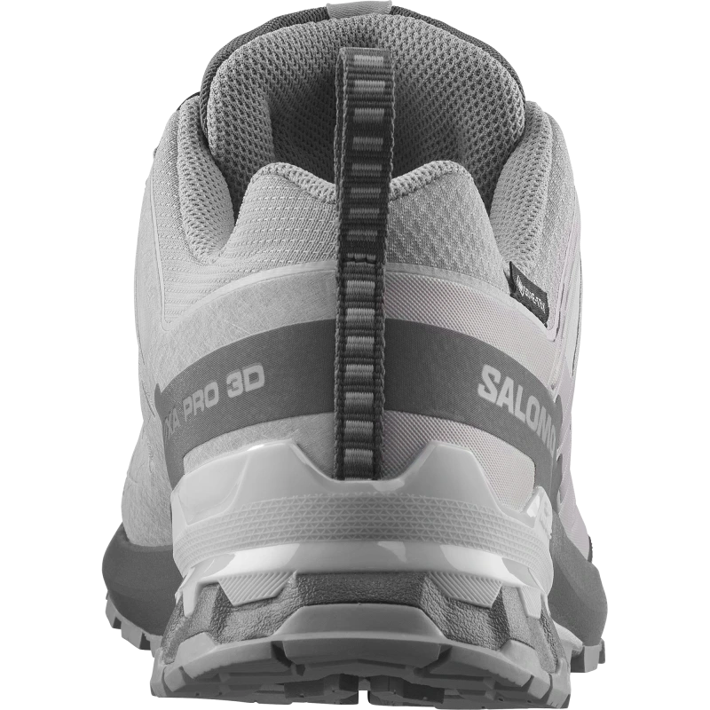 Pánska trailová obuv Salomon XA PRO 3D V9 GTX Alloy / Castlerock 1