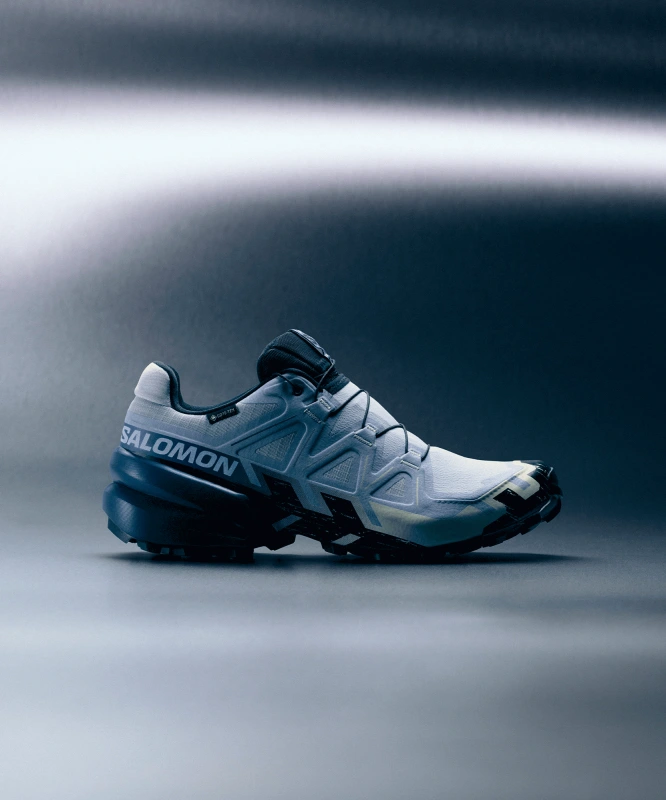 Pánska trailová obuv Salomon SPEEDCROSS 6 GTX ICON Brunnera Blue / Surf The Web 6