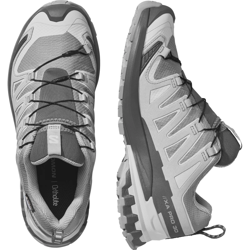 Dámska trailová obuv SalomonXA PRO 3D V9 GTX W Alloy / Castlerock 5