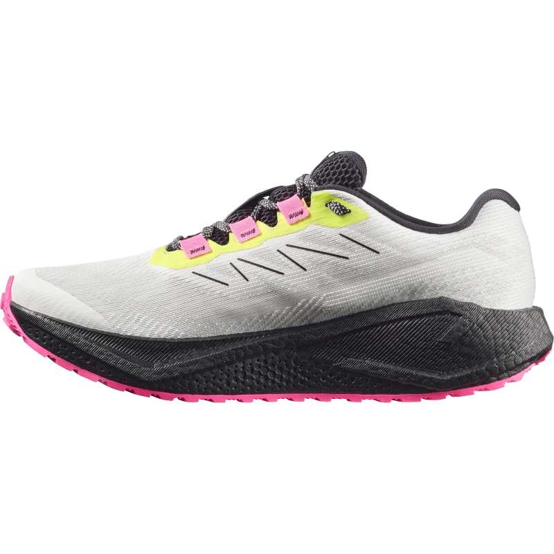 Pánska cestná bežecká obuv Salomon AERO BLAZE 3 GRVL GTX Vanilla Ice/Black 4