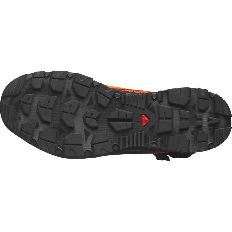 Pánska outdoorová obuv Salomon TECHAMPHIBIAN 5 Redora/Black/Turmer 3