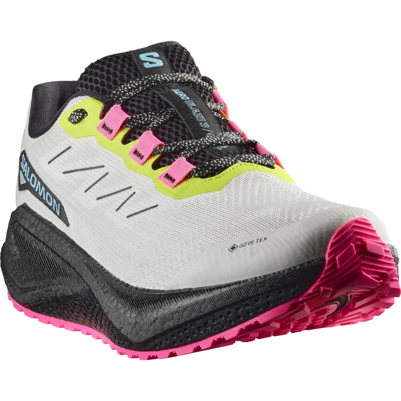 Pánska cestná bežecká obuv Salomon AERO BLAZE 3 GRVL GTX Vanilla Ice/Black 1