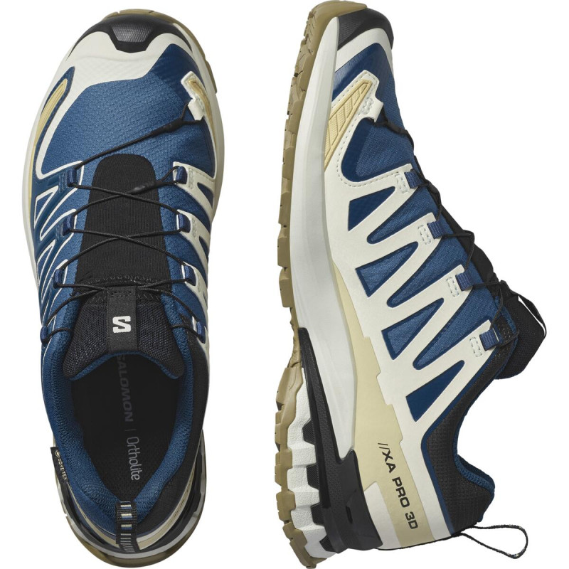 Pánska trailová obuv Salomon XA PRO 3D V9 GTX Dark B/Icicle/Aloe 5