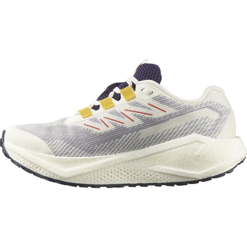 Pánska cestná bežecká obuv Salomon AERO BLAZE 3 GRVL GTX Vanila / Astral 4