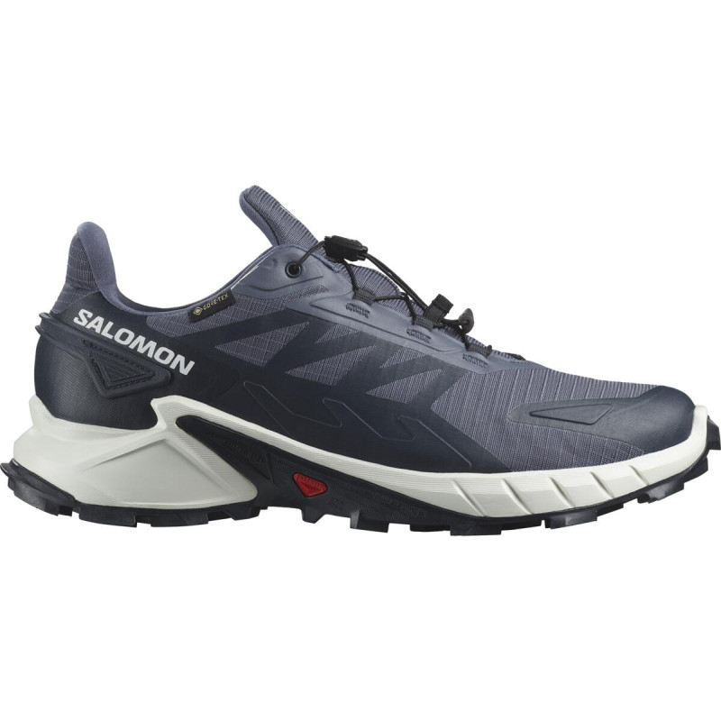 Pánska bežecká obuv Salomon SUPERCROSS 4 GTX Grisai/Wht/Carbon