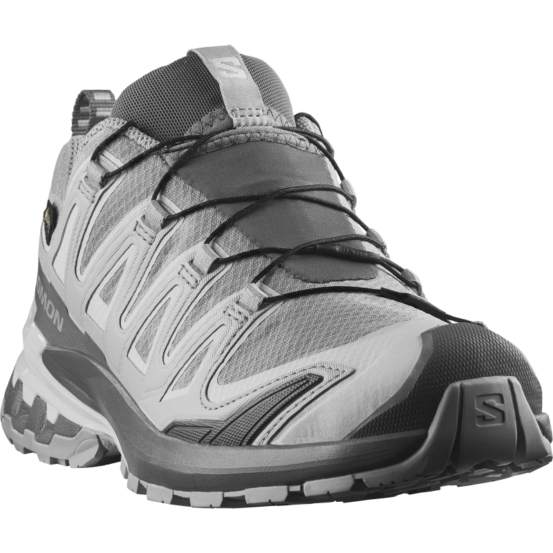 Dámska trailová obuv SalomonXA PRO 3D V9 GTX W Alloy / Castlerock 1
