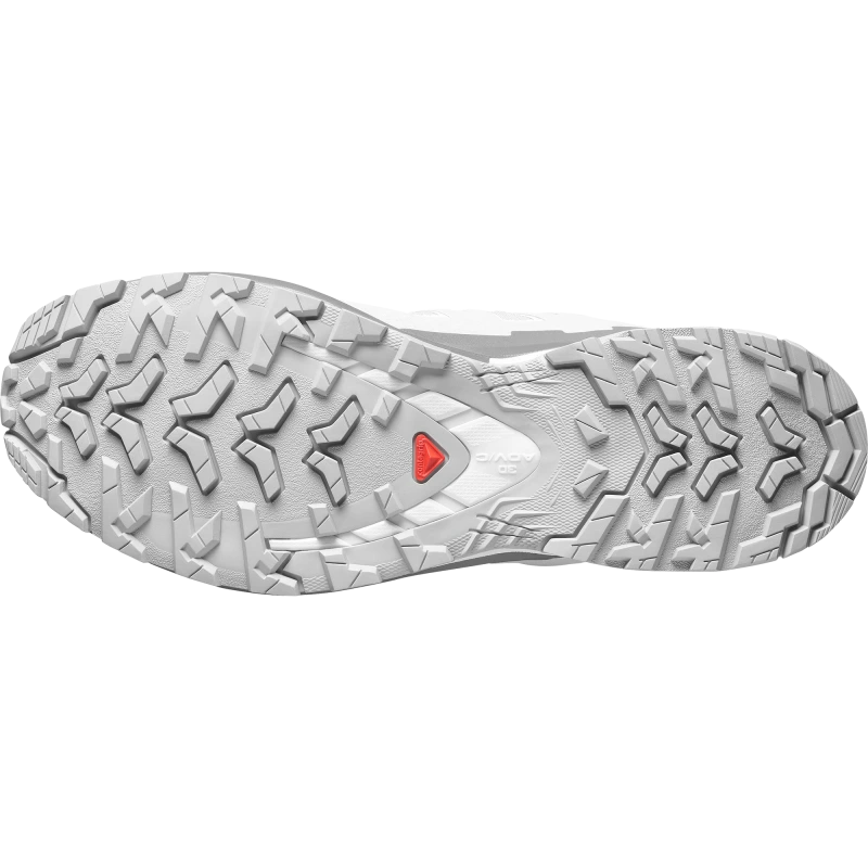 Pánska trailová obuv Salomon XA PRO 3D V9 GTX Alloy / Castlerock 2