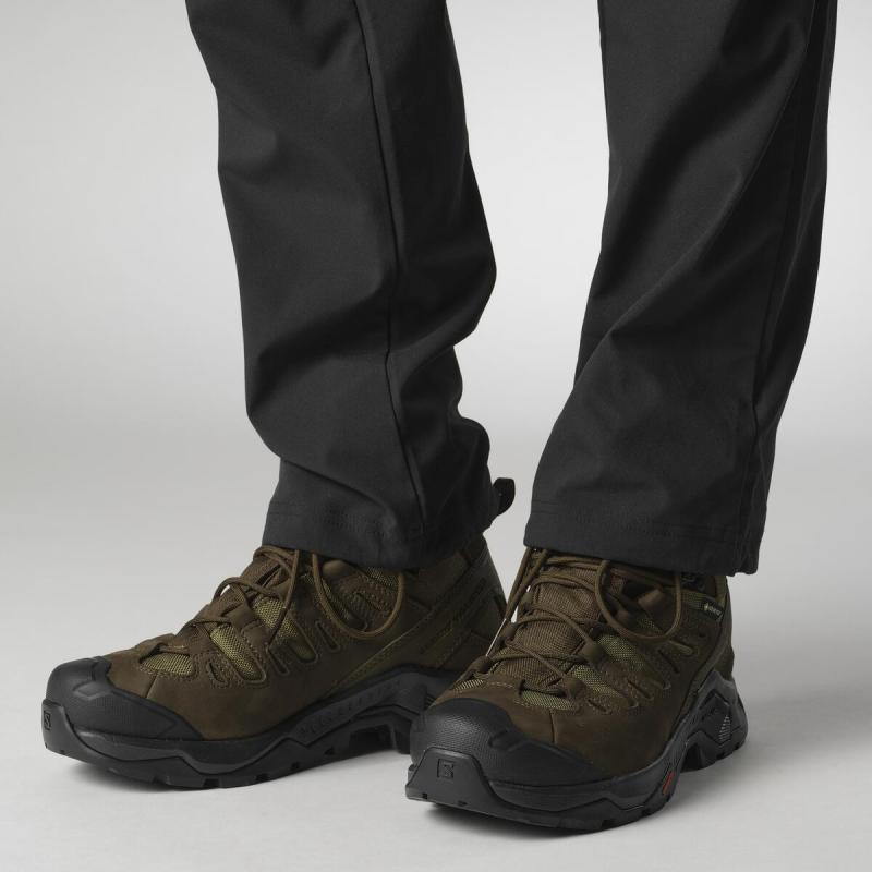 Pánska turistická obuv Salomon QUEST TRACKER GTX Earthb / Green / Black 1