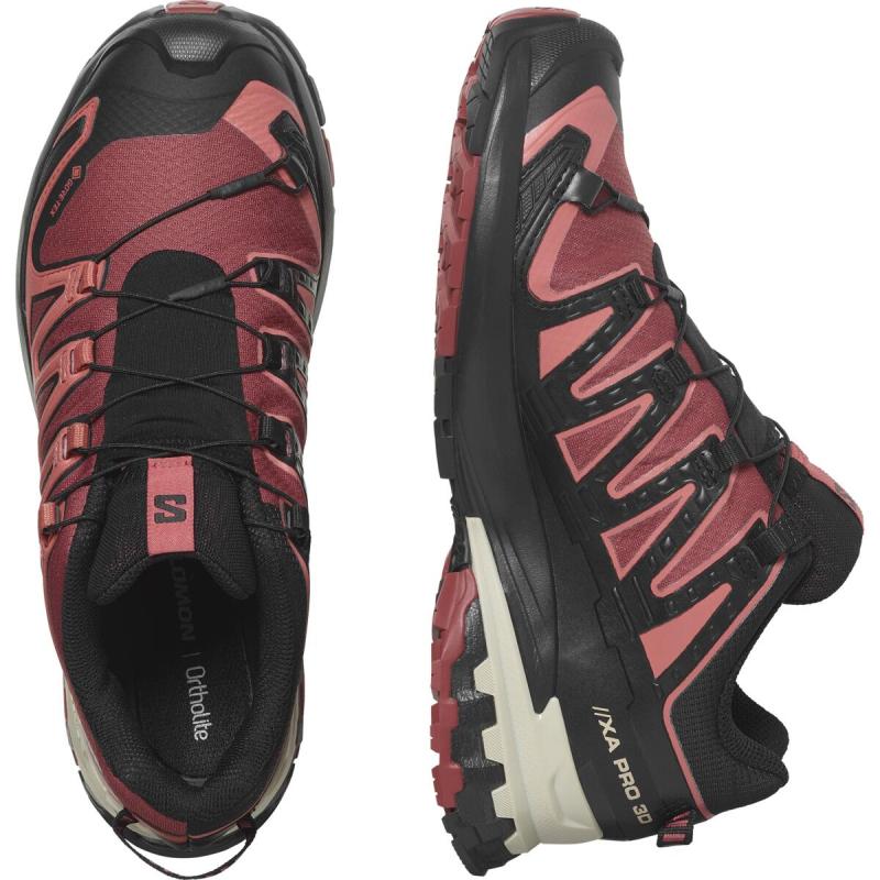 Dámska trailová obuv Salomon XA PRO 3D V9 GTX W Cohide/Black/Fad