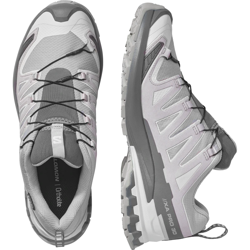 Pánska trailová obuv Salomon XA PRO 3D V9 GTX Alloy / Castlerock 4