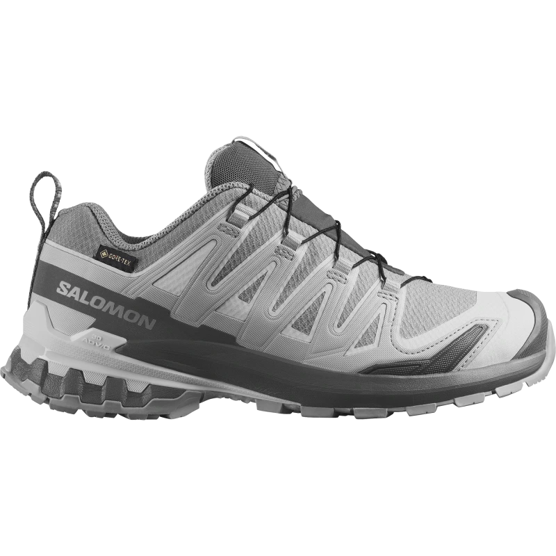 Dámska trailová obuv SalomonXA PRO 3D V9 GTX W Alloy / Castlerock