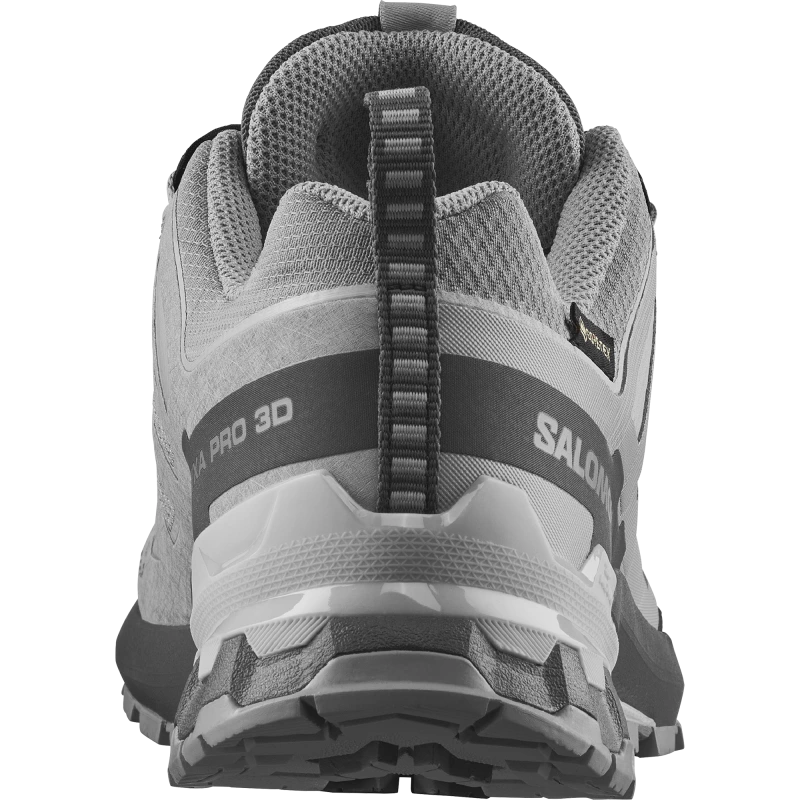 Dámska trailová obuv SalomonXA PRO 3D V9 GTX W Alloy / Castlerock 2