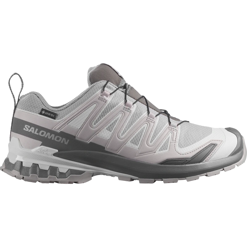 Pánska trailová obuv Salomon XA PRO 3D V9 GTX Alloy / Castlerock