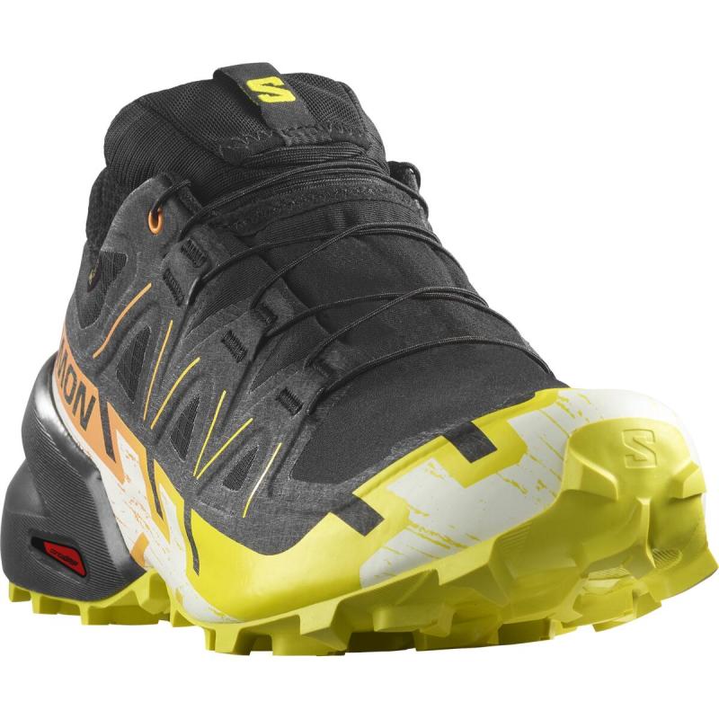 Pánska trailová obuv Salomon SPEEDCROSS 6 GTX lack/Sulphr/Bpara