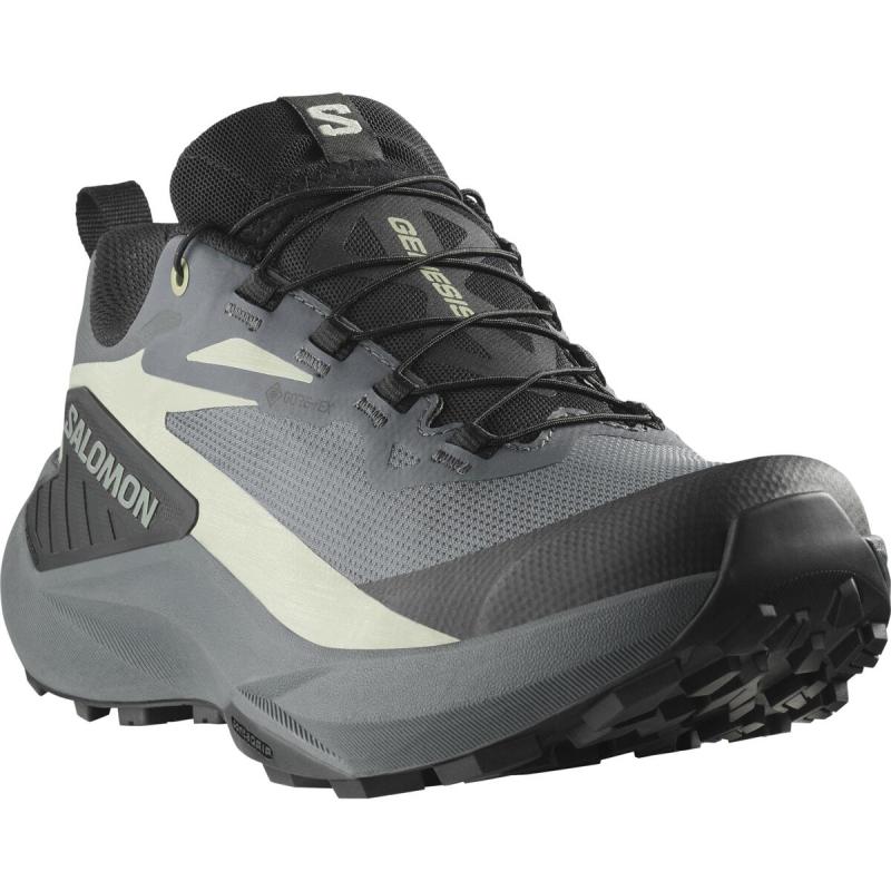 Nepremokavá dámska bežecká obuv Salomon GENESIS GTX W Turbul/Black/Greenm