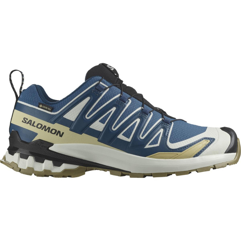 Pánska trailová obuv Salomon XA PRO 3D V9 GTX Dark B/Icicle/Aloe