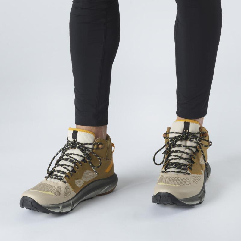 Pánska hikingová obuv Salomon PREDICT HIKE MID GTX Cumin / Safari / Saffron