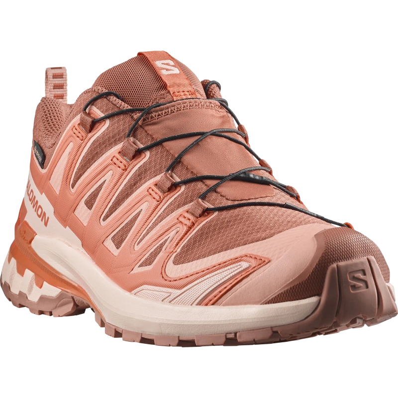 Dámska trailová obuv Salomon XA PRO 3D V9 GTX WPecan Brown / Nectarine 2
