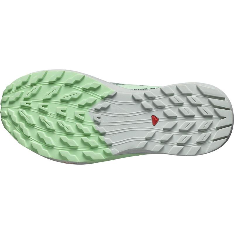 Dámska bežecká obuv Salomon SENSE RIDE 5 W Lily Pad / Metal / Green Ash