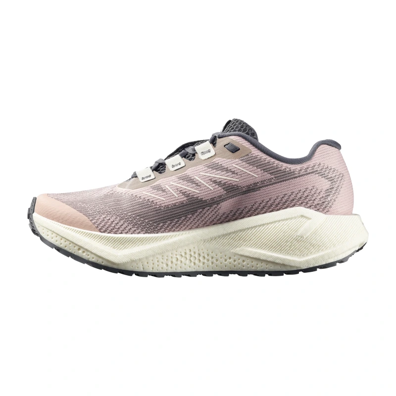 Dámska cestná bežecká obuv Salomon AERO BLAZE 3 GRVL W Shadow Gray/Vanilla Ice 2