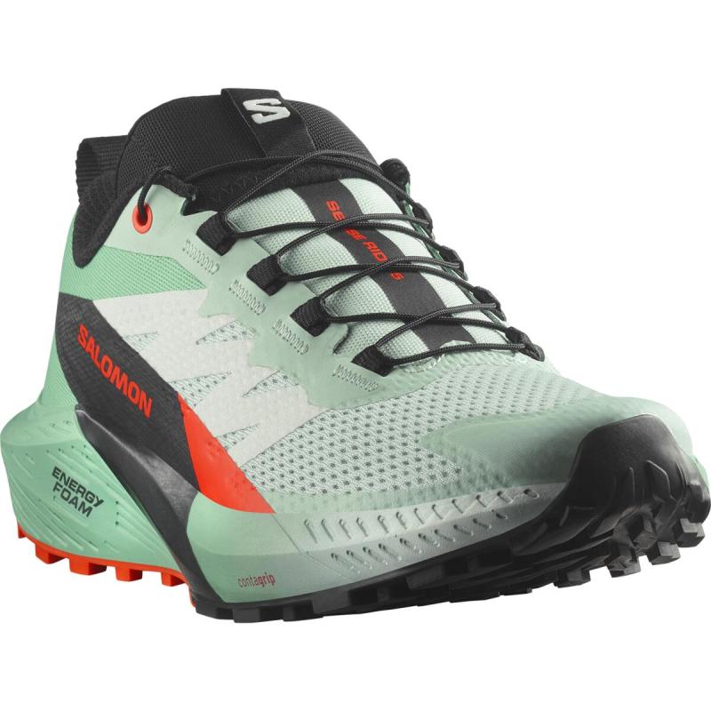 Dámska bežecká obuv Salomon SENSE RIDE 5 W Bay/Black/Chert