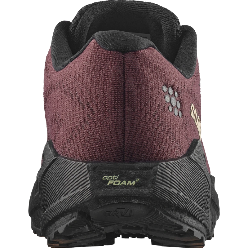 Dámska bežecká obuv Salomon AERO BLAZE 4 GRVL W Huckleberry / Black 3