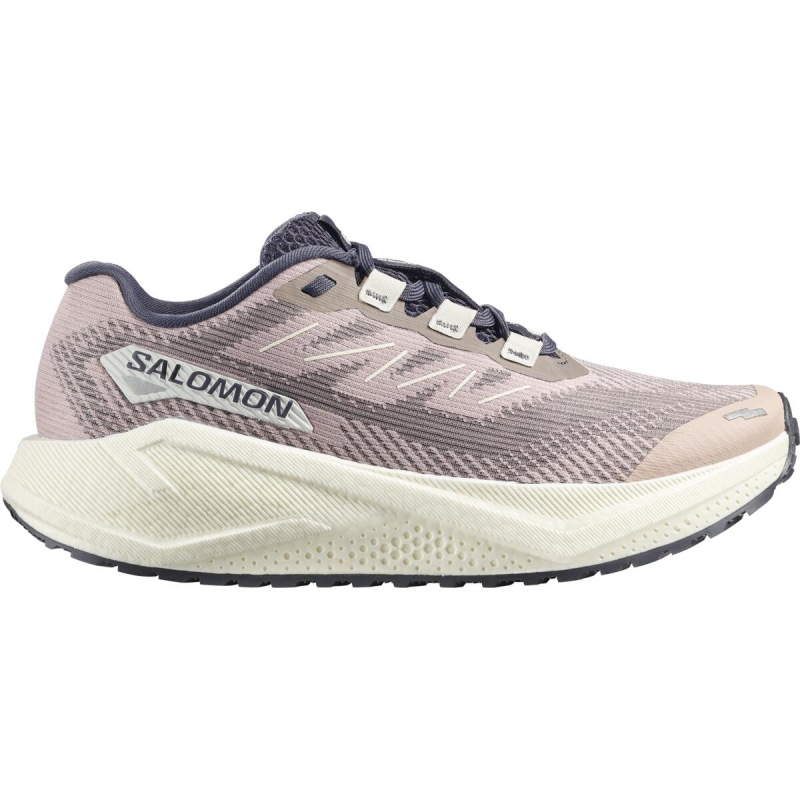 Dámska cestná bežecká obuv Salomon AERO BLAZE 3 GRVL W Shadow Gray/Vanilla Ice